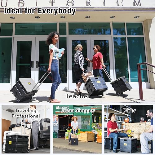 dbest Products Quik Cart Standard Collapsible Rolling Crate - Gray Lid - color: Gray, style: Standard