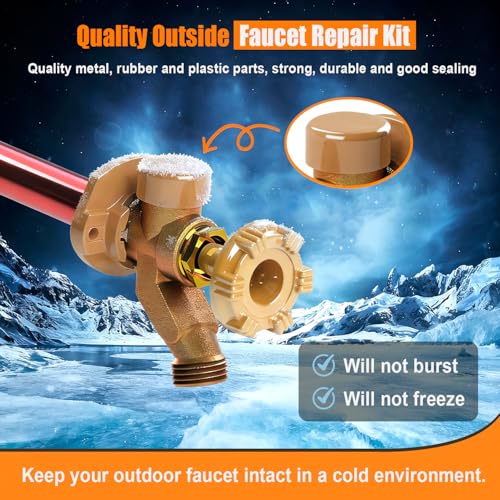 RK-17VB Outdoor Faucet Repair Kit for Woodford Model 17 Outside Faucets Vacuum Breaker Float Kit Include Caps Bodies Floats, 12PCS Set - style: RK-17VB