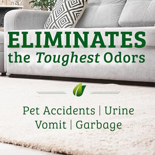 Biokleen Bac Out Enzyme Cleaner, Stain & Pet Odor Eliminator, Lime Scent - size: 128 Fl Oz (Lime)