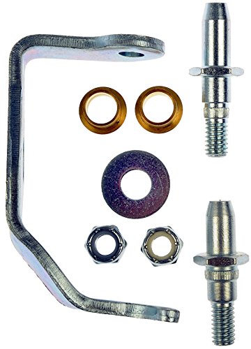 Dorman 38456 Front Driver Side Door Hinge Pin and Bushing Kit - size: 1 Count (Pack of 1)