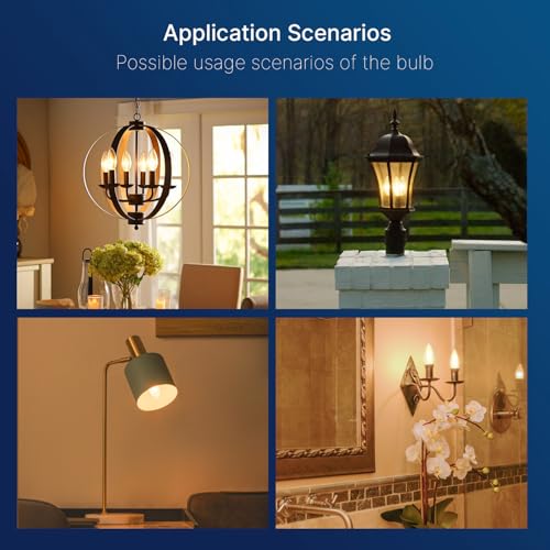 FLSNT 24 Pack LED Candelabra Bulbs 60W Equivalent, B11 Dimmable LED Chandelier Light Bulbs, E12 Base, 2700K Soft White - color: 2700k Soft White, size: 24 Count (Pack of 1)