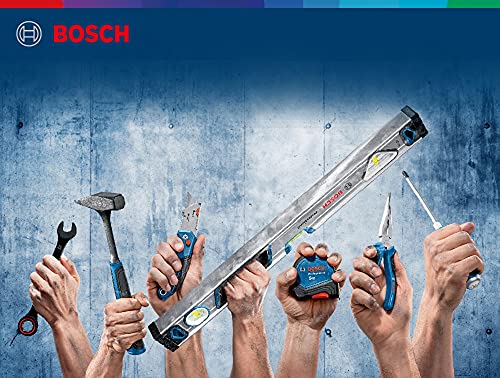 Bosch Professional 1600A016BN Spirit Level with Magnet System (Length: 25 cm, in Blister Packaging)