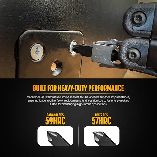 Galvanox Replacement Double Sided Torx Bits for Leatherman Multi-tools - 10 Bit Set with Holder - style: Bit Set D