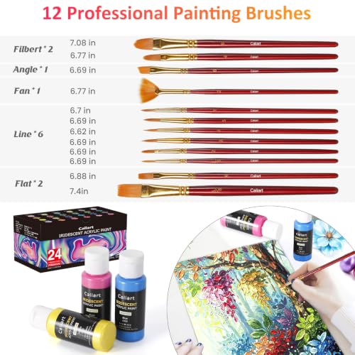 Caliart 24 Chameleon Colors Iridescent Acrylic Paint Set with 12 Brushes ﻿ - color: Iridescent, size: 2 Fl Oz (Pack of 24)