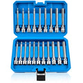 20PC Extra-Long Allen Hex Bit Socket Set, S2 Steel Hex Head Socket
