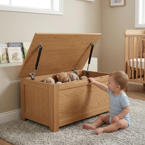 100N Soft Close Safety Gas Strut Hinges, CJQZP 2 Pack Heavy Duty Toy Box & Cabinet Hinges for Curved, Round, Arched & Flat Lids (Black) - color: Black