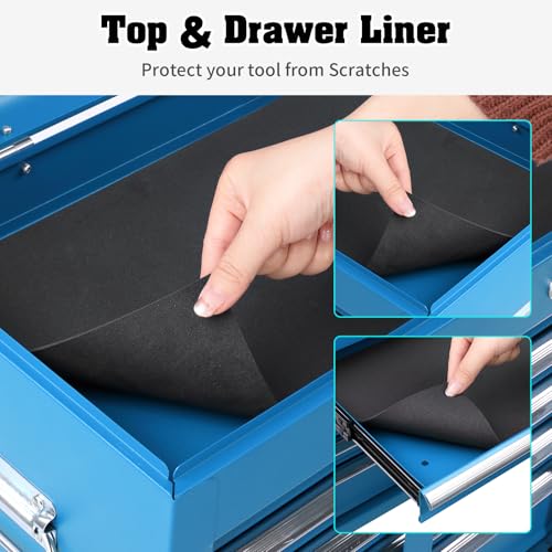 Winado 24" Portable Tool Box, 5 Drawer Tool Chest, Blue - color: Blue