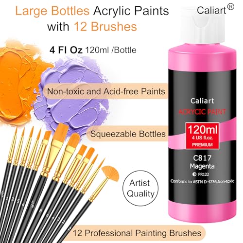 Caliart 24 Colors Acrylic Paint Set Large Bottles 4oz with 12 Brushes - color: Regular, size: 4 Fl Oz (Pack of 24)