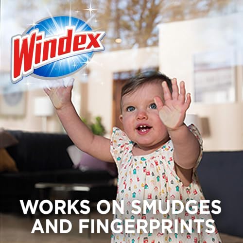Windex Wipes Glass Cleaning, Pre-Moistened Glass and Surface Wipes to Clean Home Surfaces, Household Essentials, Original Scent, 38 Count (Pack of 2) - size: 38 Count (Pack of 2)