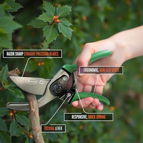 Scotts 2-Piece Pruning Tool Set – Includes 8 in. Bypass Pruning Shears for Live Plants and Soft Stems, and 7.5 in. Folding Saw for Cutting Thick Branches - style: Bypass Pruner & Folding Saw Set
