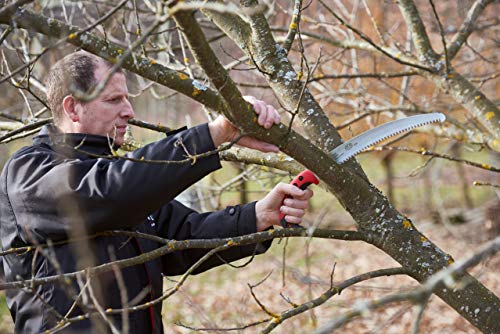FELCO F630 Pruning Saw – Full-Stroke Pull-Cut Saw for Tree Trimming, Forestry & Outdoor Use | Tree Branch Cutter | Handsaw with Chrome-Plated 13" Blade, Ergonomic Handle, Locking Sheath with Belt Loop - size: 13 in (Curved)