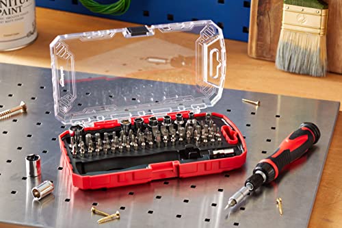 Amazon Basics Magnetic Ratcheting Wrench and Electronics Precision Screwdriver Tool Set, 73-Piece, with Carry Case for Household Repair, Small Jobs, Eyeglasses, Black/Red/Silver - style: 73-Piece