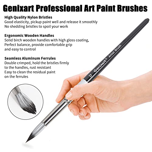 Genixart Round Paint Brush Set – Art Paintbrushes Acrylic Oil Watercolor - size: Round - 6 Pcs