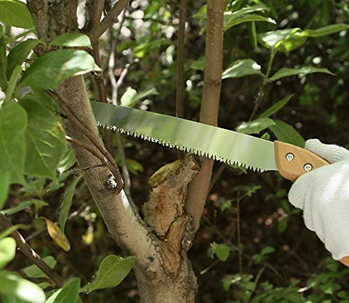11 inch Straight Hand Pruning Saw
