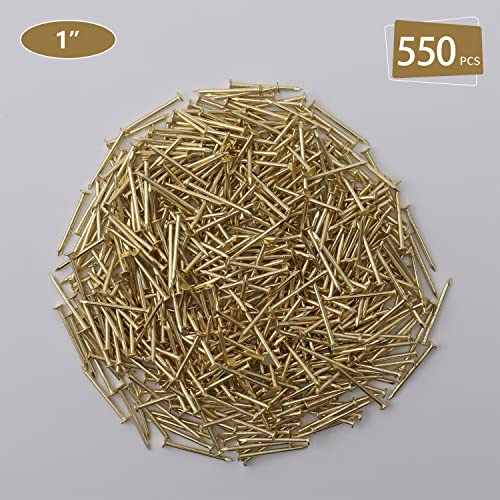 JEGONFRI 550PCS 1" x 16Ga Brass Plated Finishing Nails - color: Gold, size: 1 In , 550 Pcs
