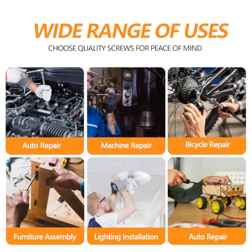 232 Pcs M6 Hex Bolts and Nuts Assortment Kit, M6-16/20/30/40/50mm Screws - size: M6 - 16/20/30/40/50mm