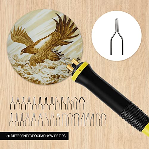 FIRElood Wood Burning Tool,Wood Burning kit Pen 25~750℃,Professional Wood Burning kit,with Digital Thermometer Temperature Adjustable Temperature,1 Wood Burning pens, 30 Wood Burning Pen Tips - color: LH40-1 NEW
