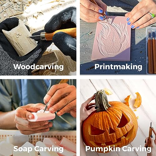 Schaaf Tools Wood Carving Kit, 12-pc mini chisel set, large handles