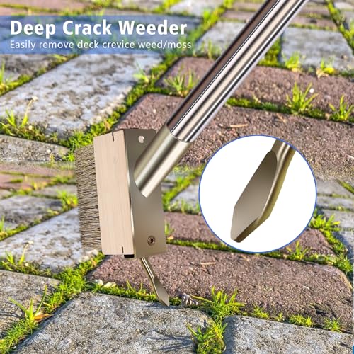 Moss Remover Brush Tool with 65in Handle for Concrete Pavers Crevice