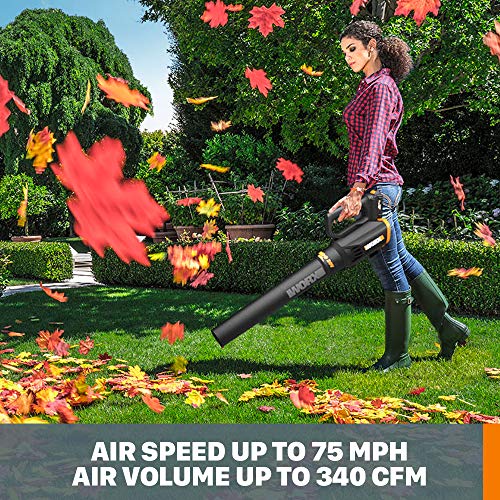 WORX 20V 12" Cordless String Trimmer & 360CFM Leaf Blower Kit, WG928 - style: 12" Trimmer & 360 CFM Blower