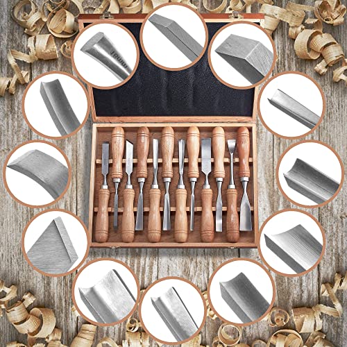 SELFIE CAT 12-Piece HSS Wood Chisel Set, Black Walnut Handles, Wood Case