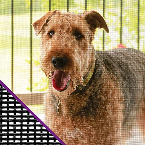 Saint-Gobain ADFORS Pet-Resistant Door & Window Screen Repair/Replacement Kit, 36 inches x 84 inches Charcoal Mesh with Spline/Rolling Tool & Spline -For DIY Window & Door Screens, Tear-Resistant